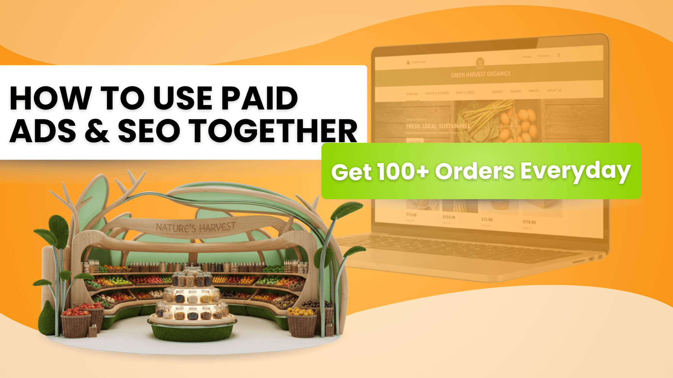 How Paid Ads & SEO Worked Together for an Organic Brand